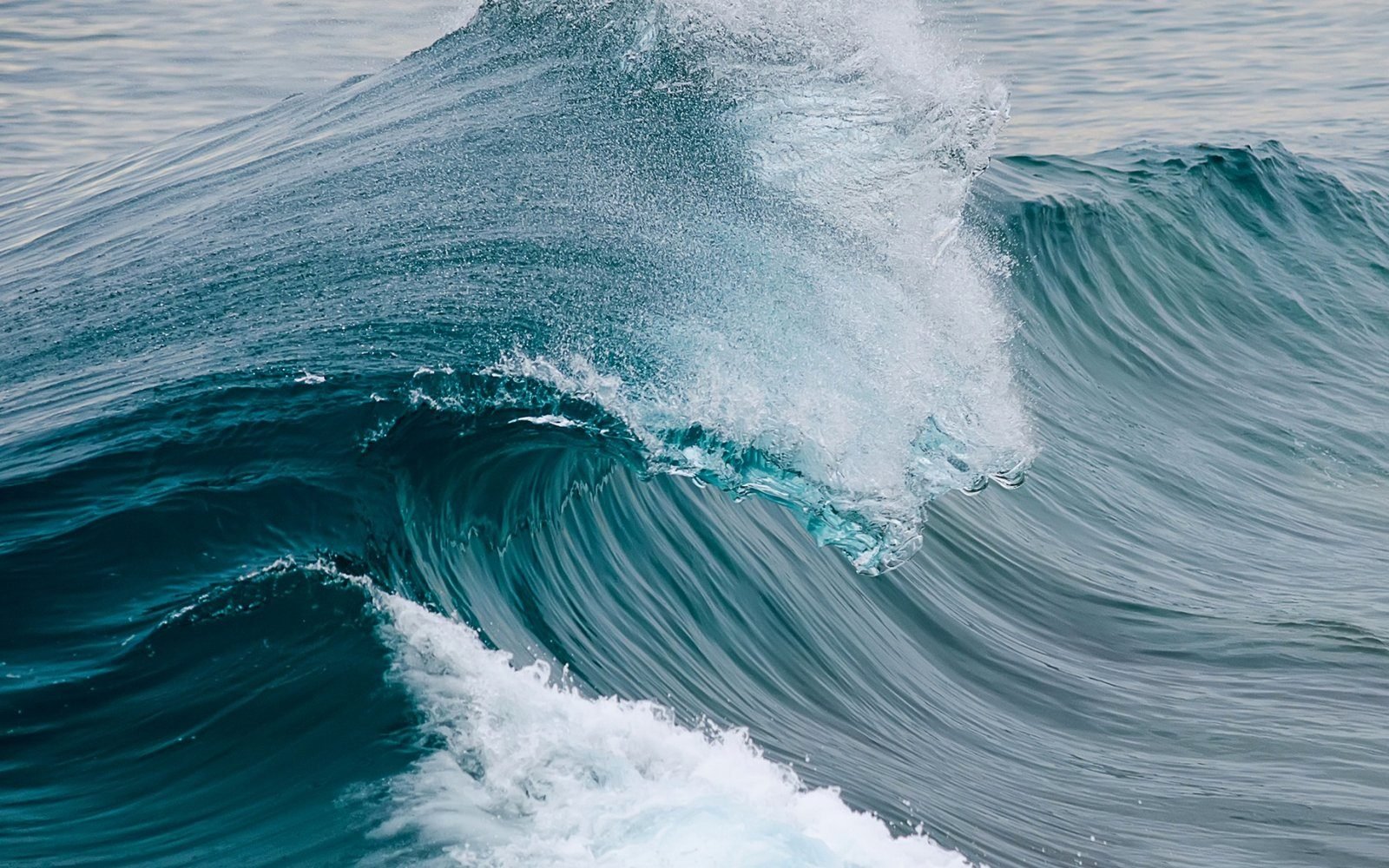 Live Limitless — the power and momentum behind visionary excellence