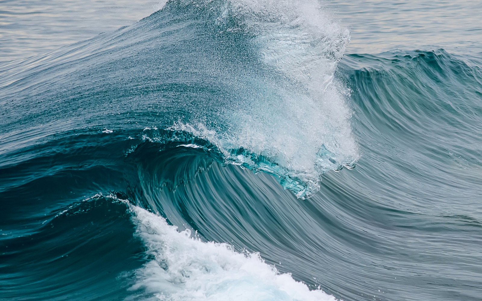 Live Limitless — the power and momentum behind visionary excellence